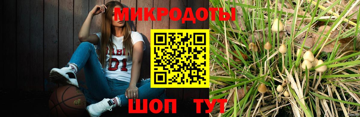 Избербаш  Псилоцибиновые грибы GOLDEN TEACHER  Вход с VPN 
