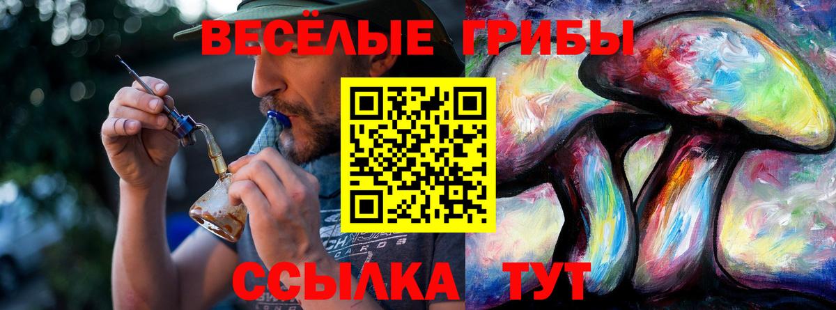 Псилоцибиновые грибы Psilocybine cubensis Избербаш